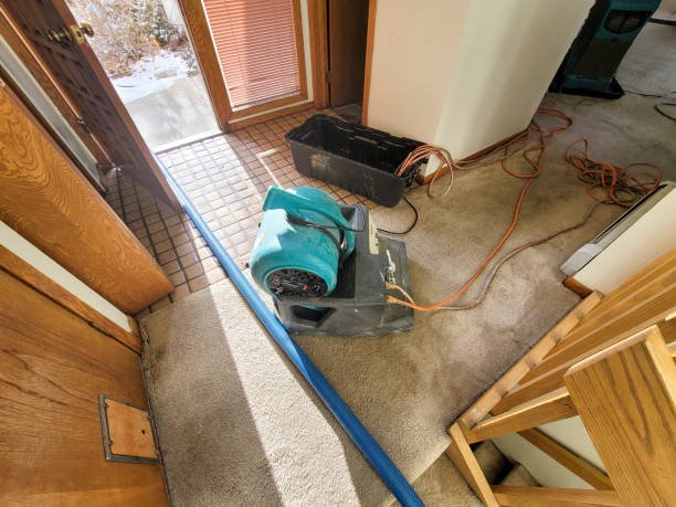 Best Local water damage restoration  in Richland Hills, TX