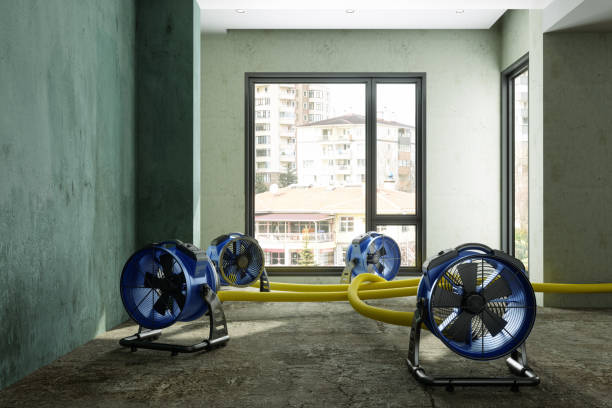 Best Fire Damage Restoration  in Richland Hills, TX